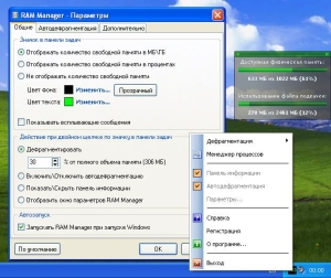 RAM Manager 2008 Professional